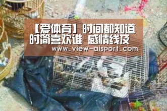 爱体育